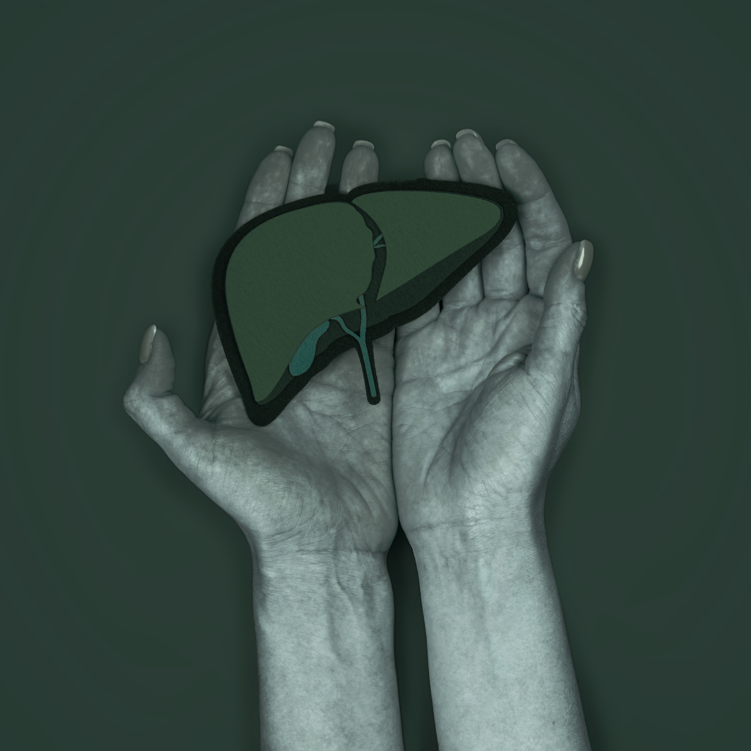 Liver